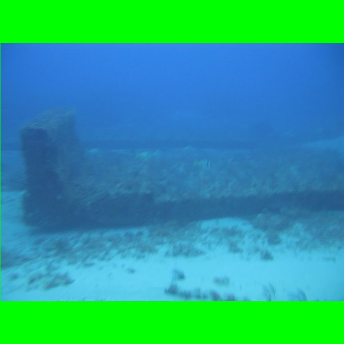 Dive WP Wrecks 25-Oct-09_281.JPG